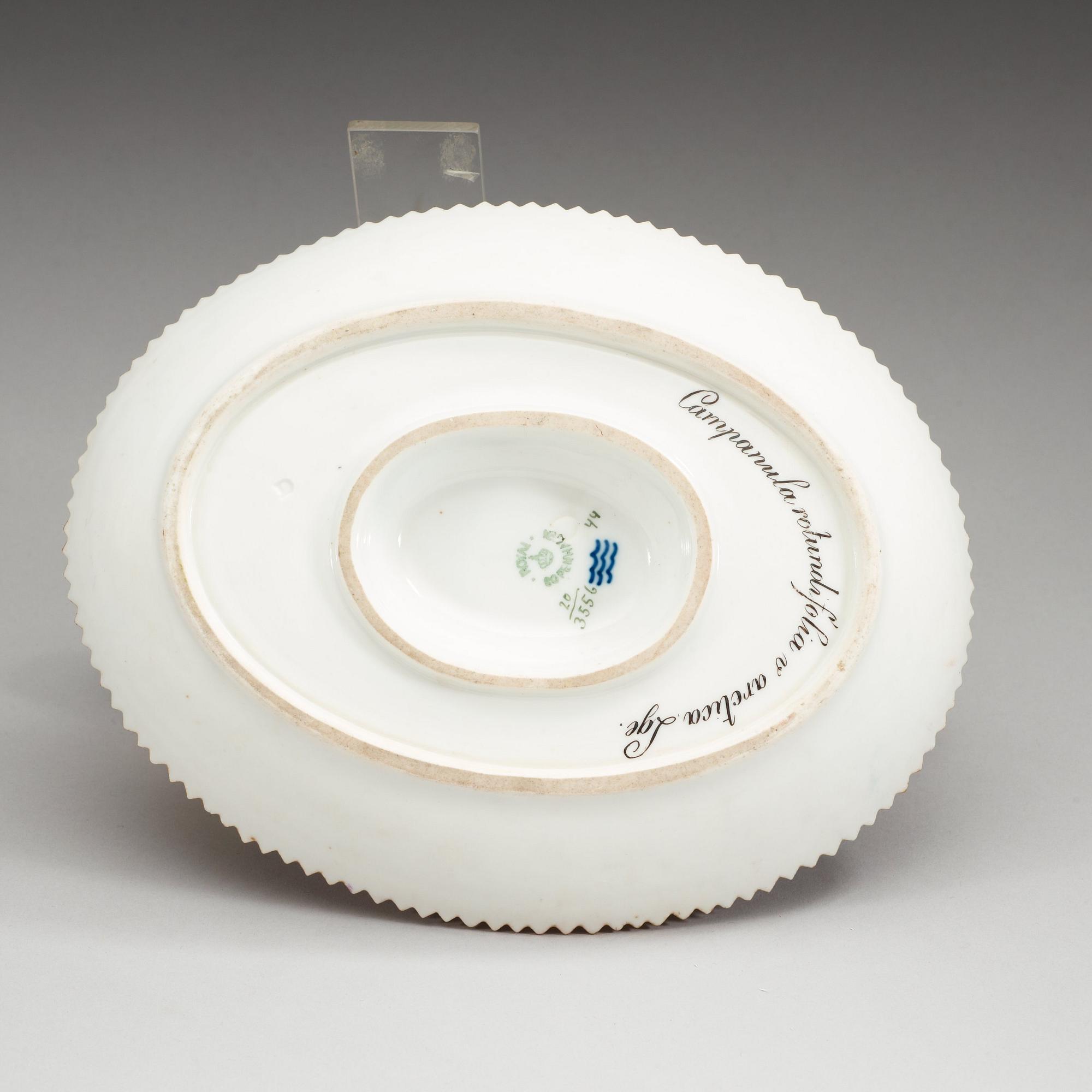 SÅSSNIPA, porslin. "Flora Danica", Kungl Dansk, 1900-tal.