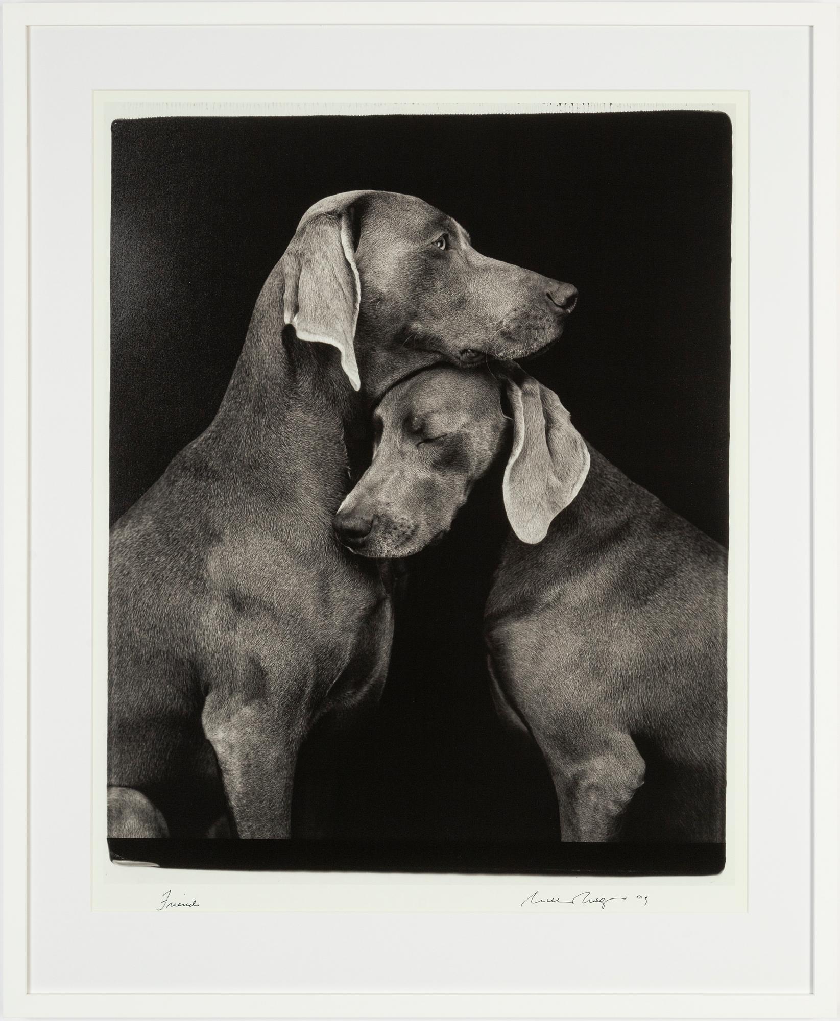 William Wegman, archival pigment print 2009, signed. Numbered 117/1500 verso.