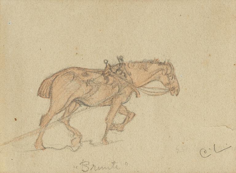 Carl Larsson, "Brunte" (Horse).