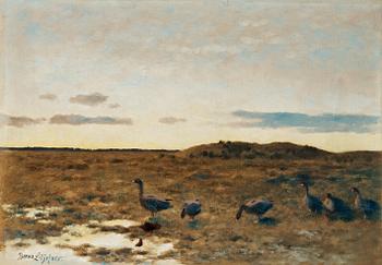 734. Bruno Liljefors, Geese at Dawn.