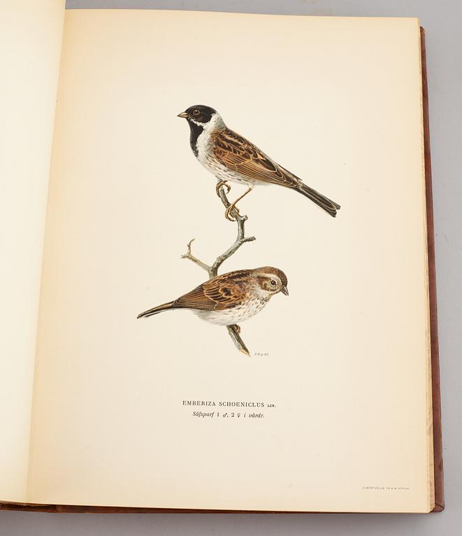 A set of three books about Swedish birds by von Wright. 1927.