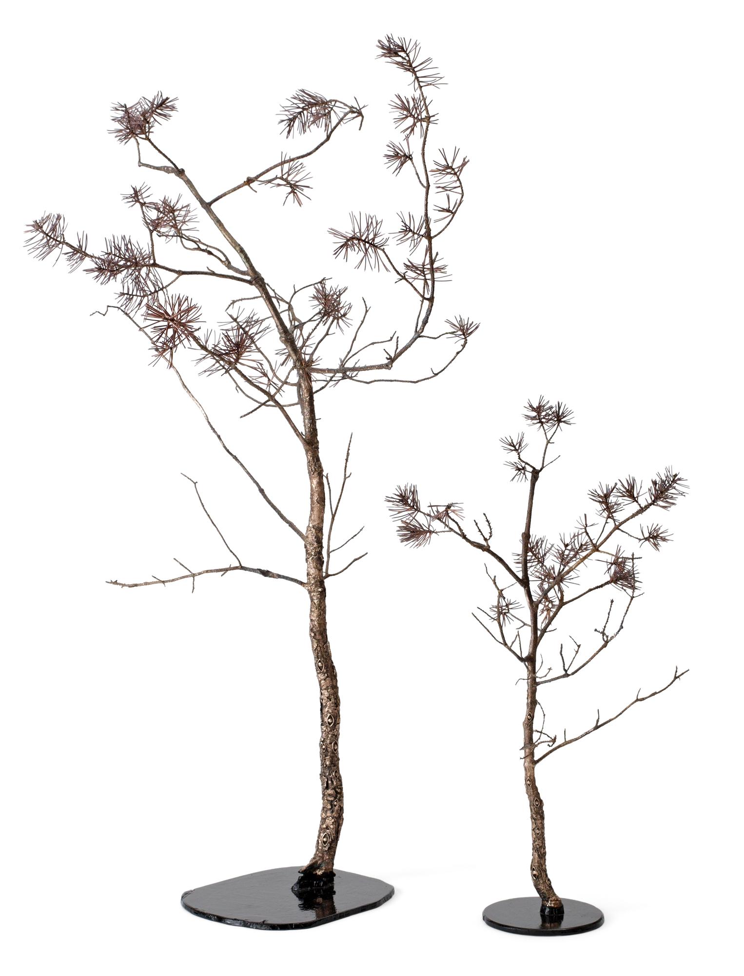 Åsa Ersmark, "Pines".