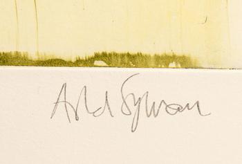 Astrid Sylwan, utan titel.