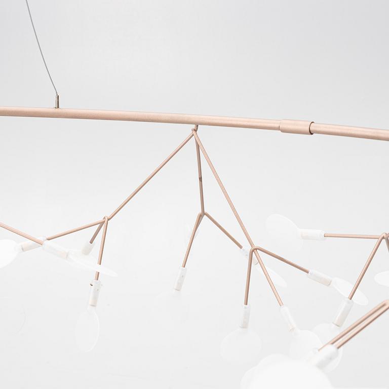 Bertjan Pot, ceiling lamp, Heracleum, Moooi, contemporary.