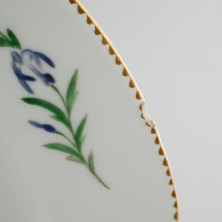 A pair of dinner plates from the 19th century.