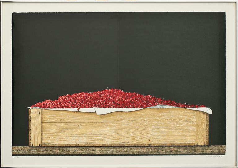 PHILIP VON SCHANTZ, färglitografi, sign, dat -80 och numr 64/80.