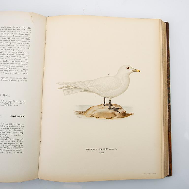 The Wright Brothers, book work, 3 volumes, "Swedish Birds", A. Börtzells tryckeri AB, Ivar Baarsen, Stockholm, 1924-1929.