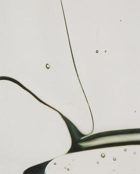 Dawid, a pigment print, signed and dated 2004.