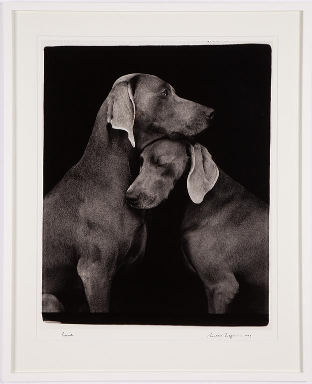 William Wegman, "Friends".