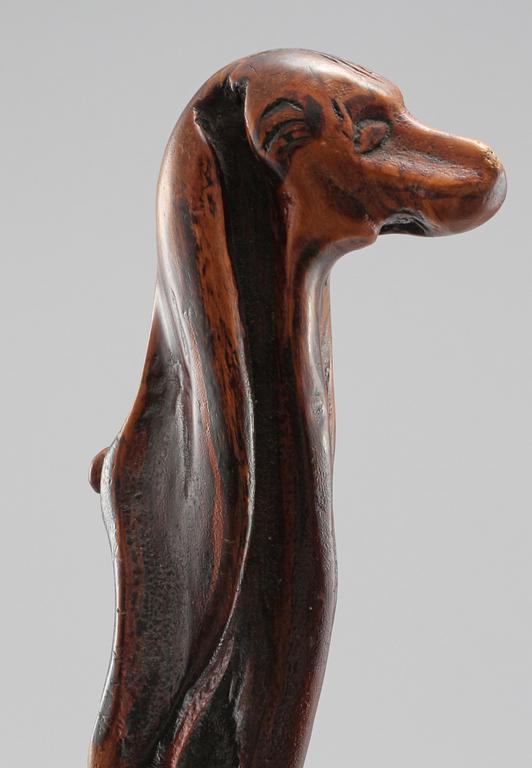 KÄPPAR, 6 st, 1900-tal.