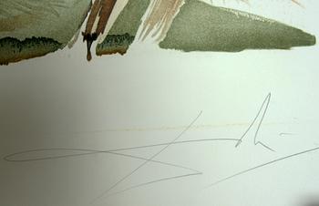 SALVADOR DALI, färglitografi, sign o numr XIX/CXXV.