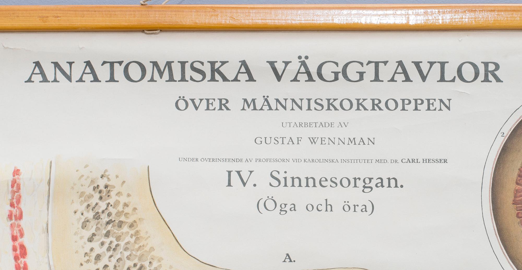 a poster, mid 20th century,