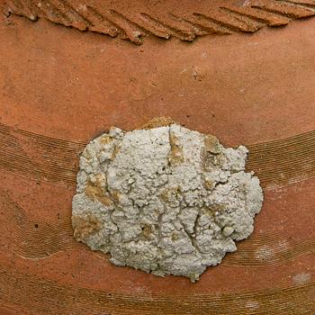 Vinkrus, terracotta, Italien, 1900-tal.