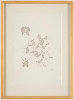 Marcel Duchamp, "Arturo Schwarz: The large glass and related works vol II".