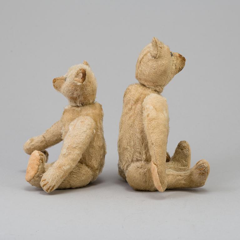 two STEIFF teddybears, Germany ca 1910.