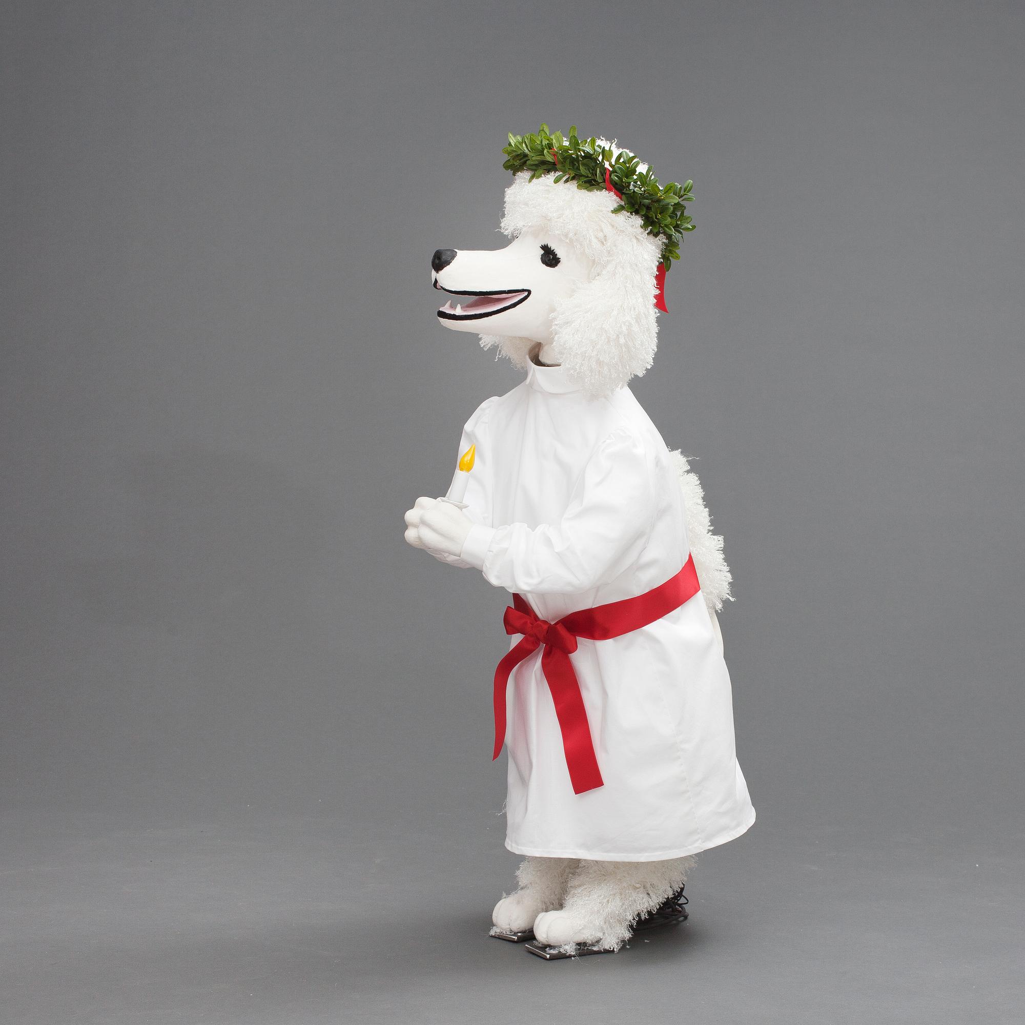 HUND, pudel, "Ulla", NK 2013, JoAnn Tan Studio.