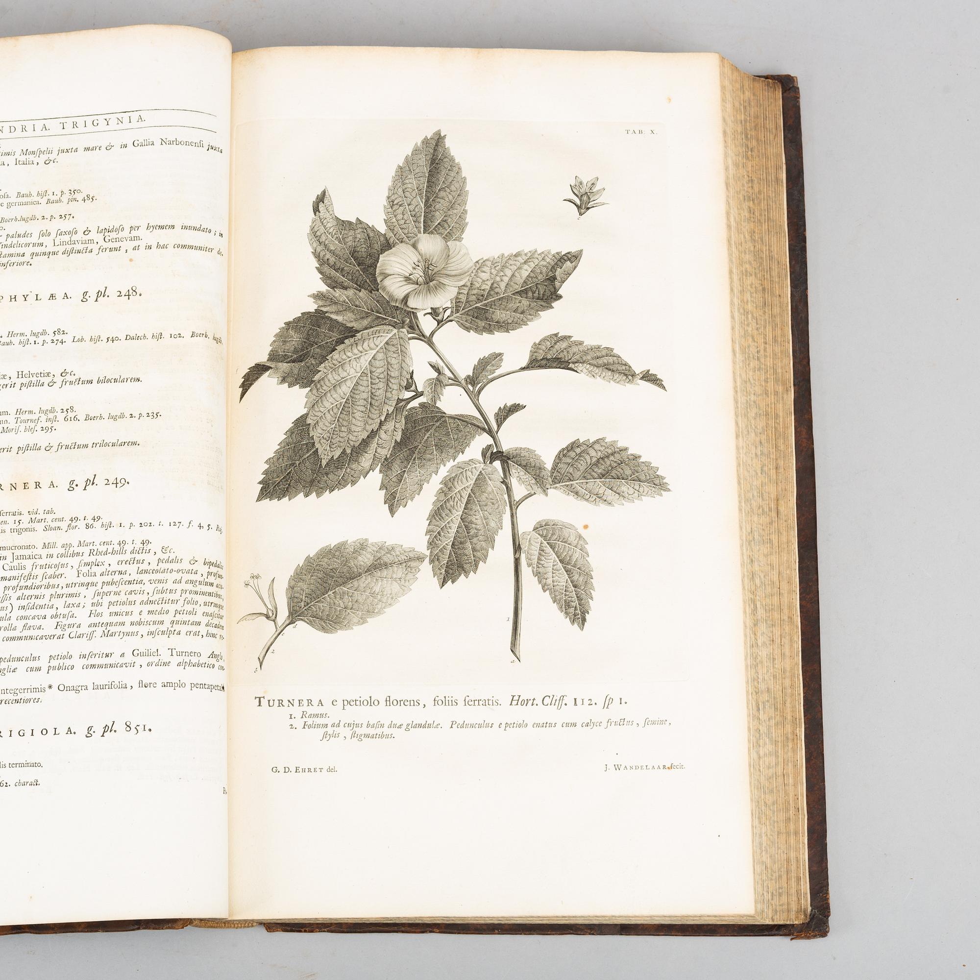 Hortus Cliffortianus, with 36 Botanical Plates.