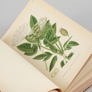 BÖCKER, 3 volymer, "Bilder ur Nordens Flora", C. A. M. Lindman, Wahlström & Widstrand, Stockholm 1922-1926.
