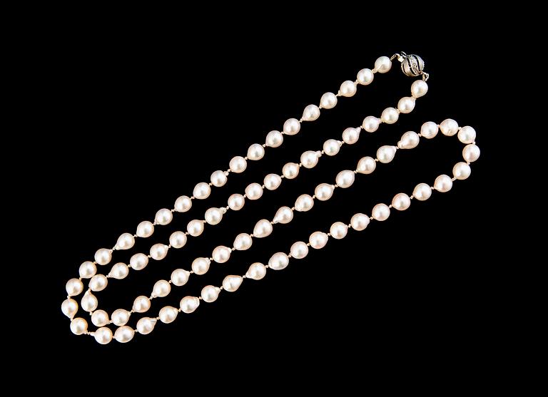 PEARLCOLLIER.