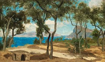16. Olof Arborelius, Forest glade on the italian coast.