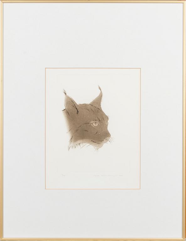 Pentti Lumikangas, Ilves.