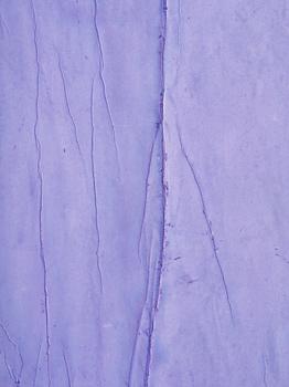 Patrick Hill, "Lavandula".