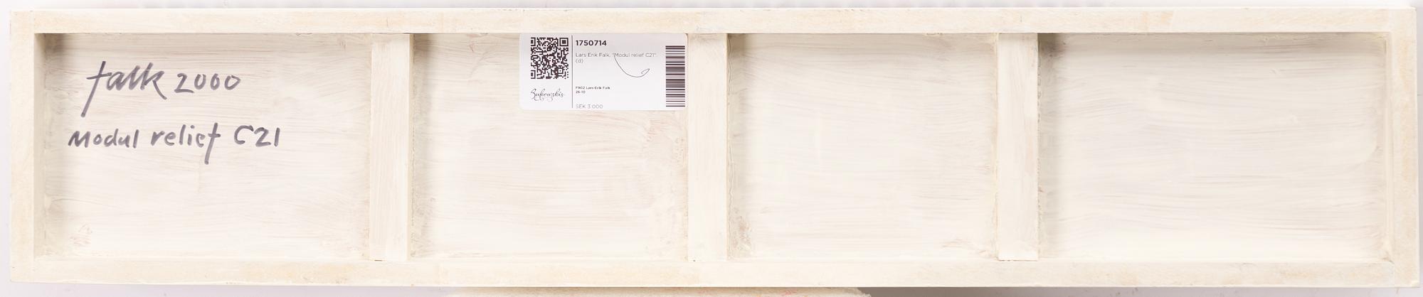 Lars Erik Falk, "Modul relief C21".