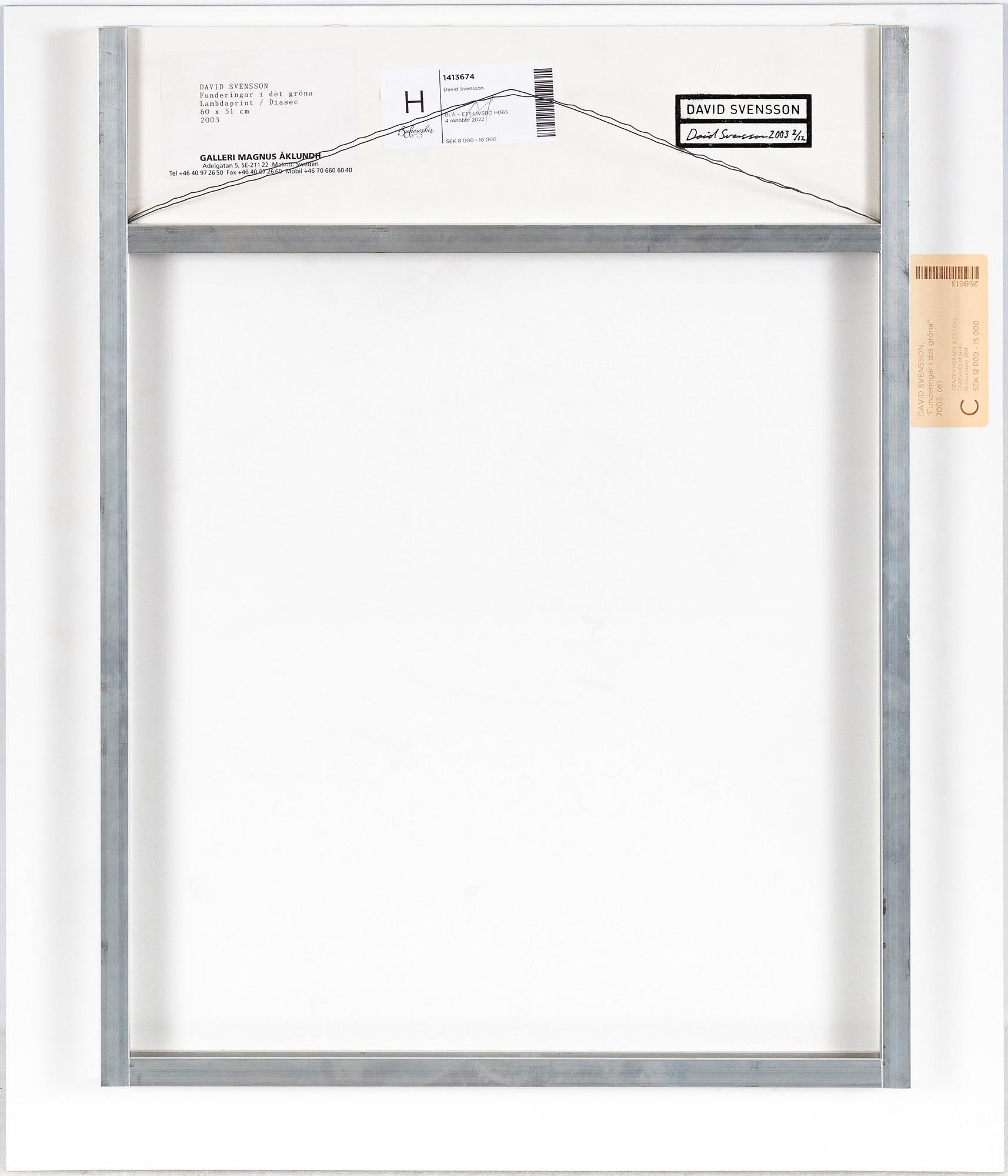 David Svensson, "Funderingar i det gröna", 2003.