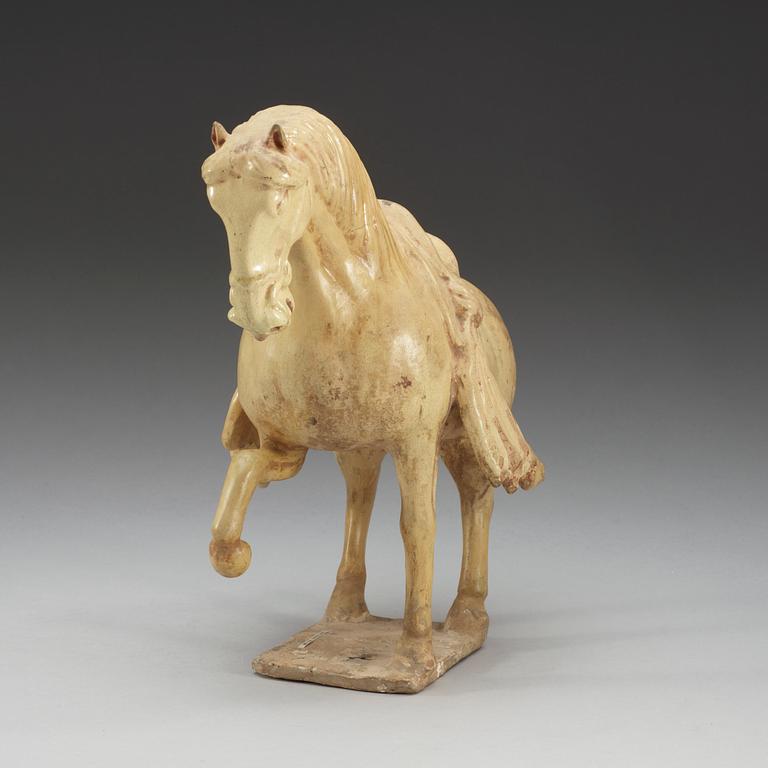 A yellow glazed pottery figure of a horze, Tang dynasty, (618-906).