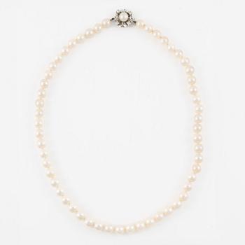 Necklace, with cultured pearls, clasp 14K white gold with small diamonds.