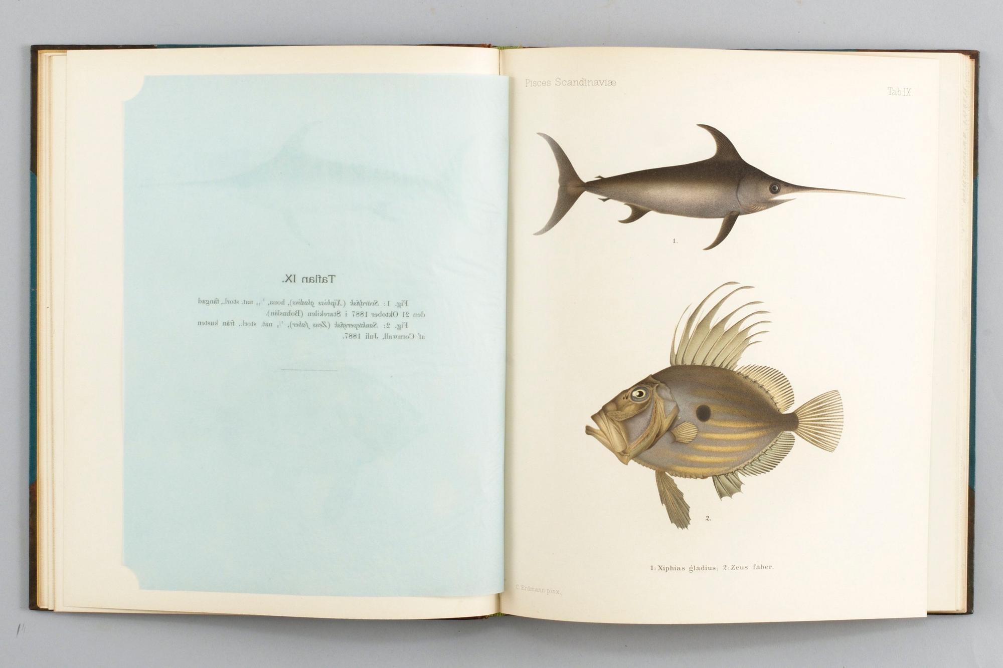 BOK, 3 vol. SKANDINAVIENS FISKAR, W von Wright. I+II+planschdel.