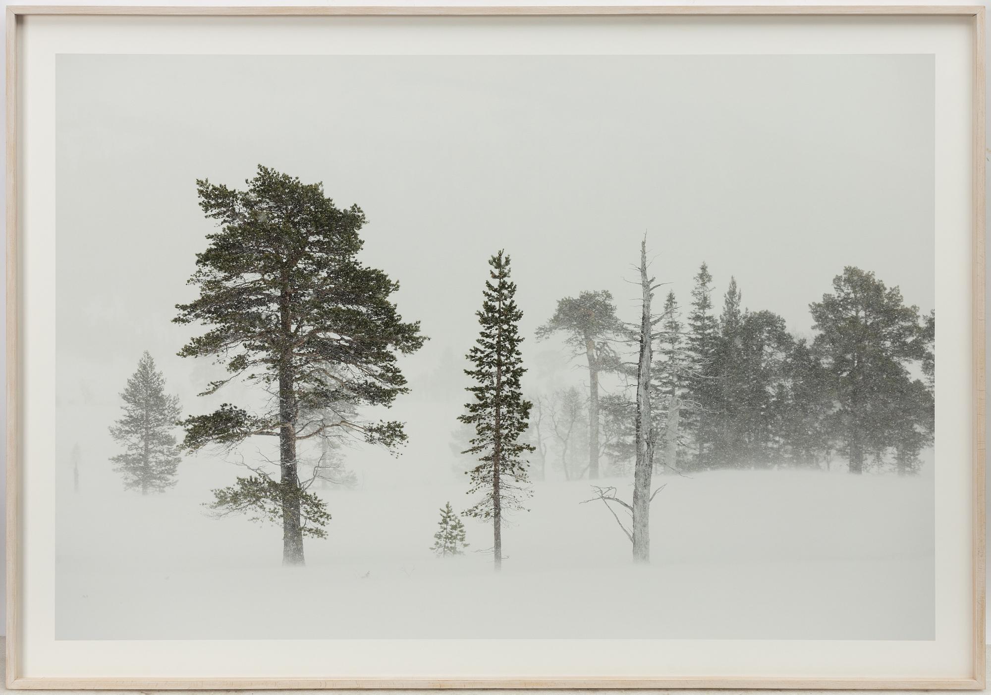 Karin Alfredsson, Ur sviten "Snö och regn skall passera", 2019.