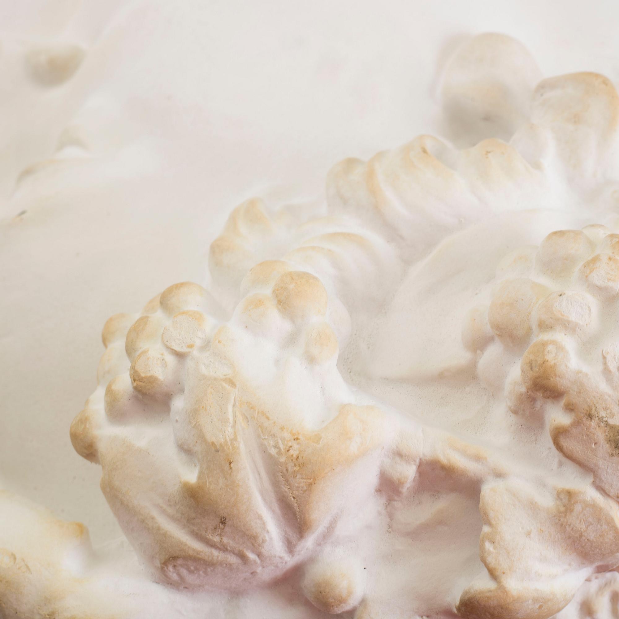 JOHAN TOBIAS SERGEL, efter, medaljong av gips, 1900-tal.