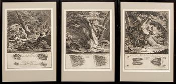 Johann Elias Ridinger, six copper engravings, Germany 18th Century.