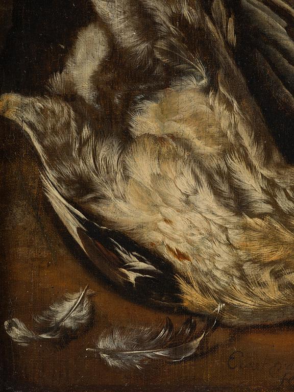 Ernst van Dalen, The sneaky fox.