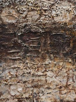 Key Sato, "Portrait de Temps".
