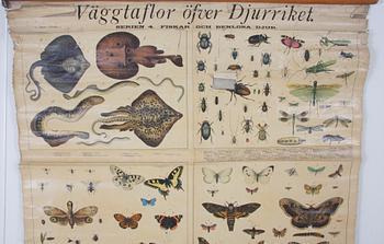 SKOLPLANSCH, tryckt 1915.