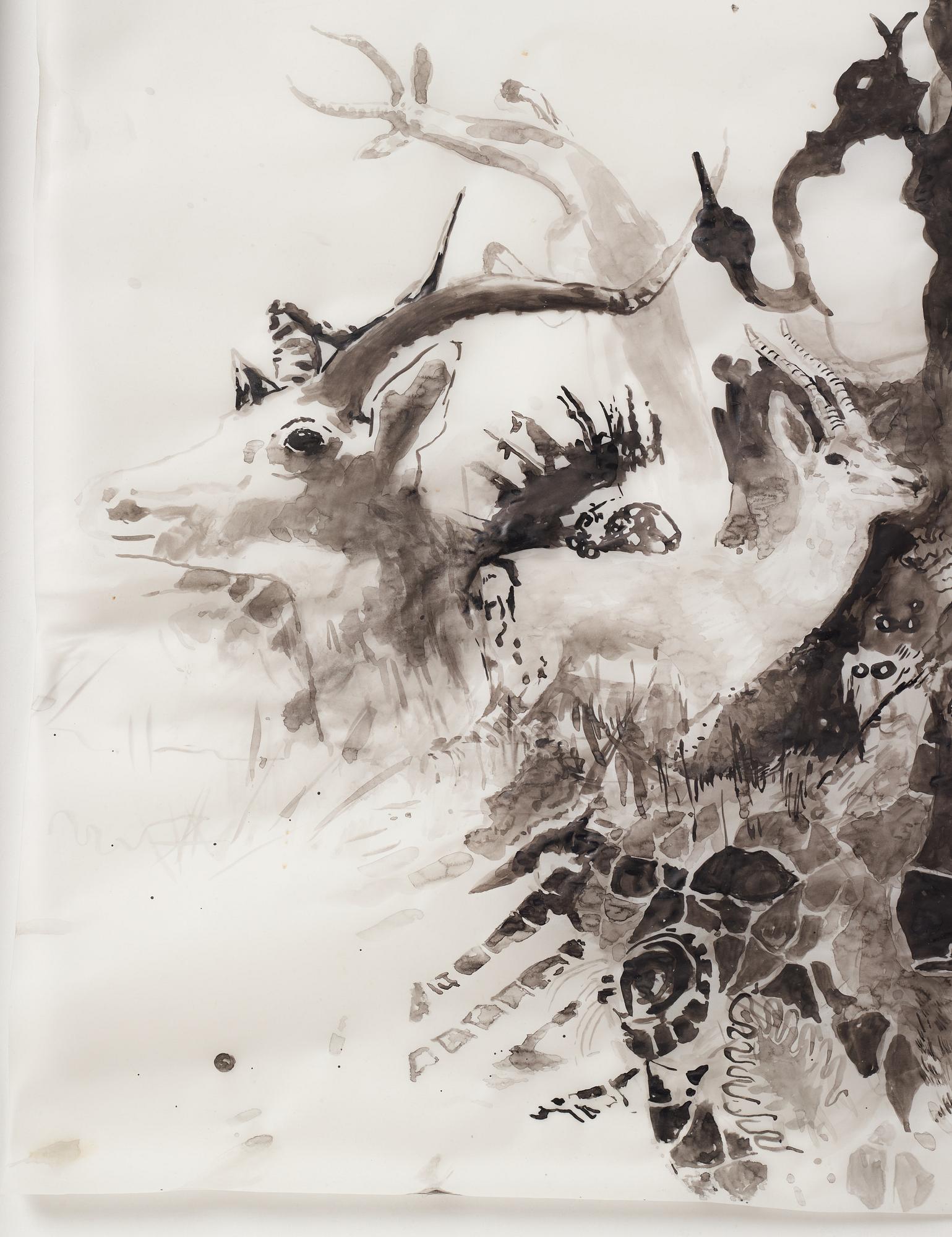 Lotta Döbling, signed and dated 2014. Ink on paper.