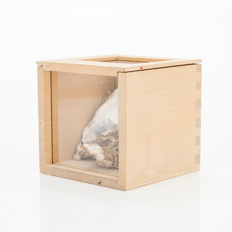 Juhani Harri, Tidsbox.