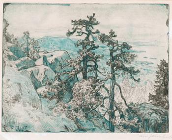 73. Eero Järnefelt, VIEW OVER KOLI.