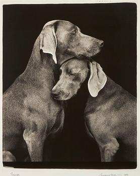 William Wegman, 'Friends'.