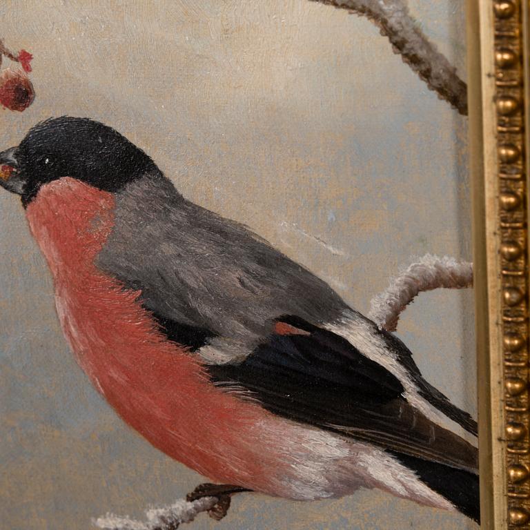 Matti Karppanen, Bullfinches on a branch.