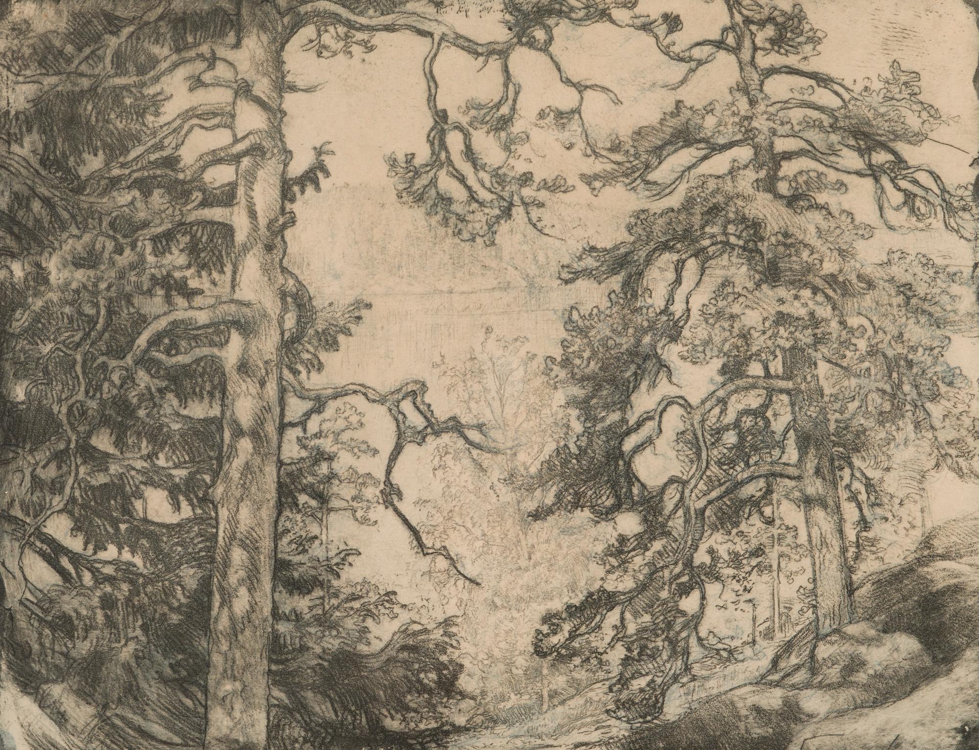 Eero Järnefelt, TALLAR VID STRANDEN.
