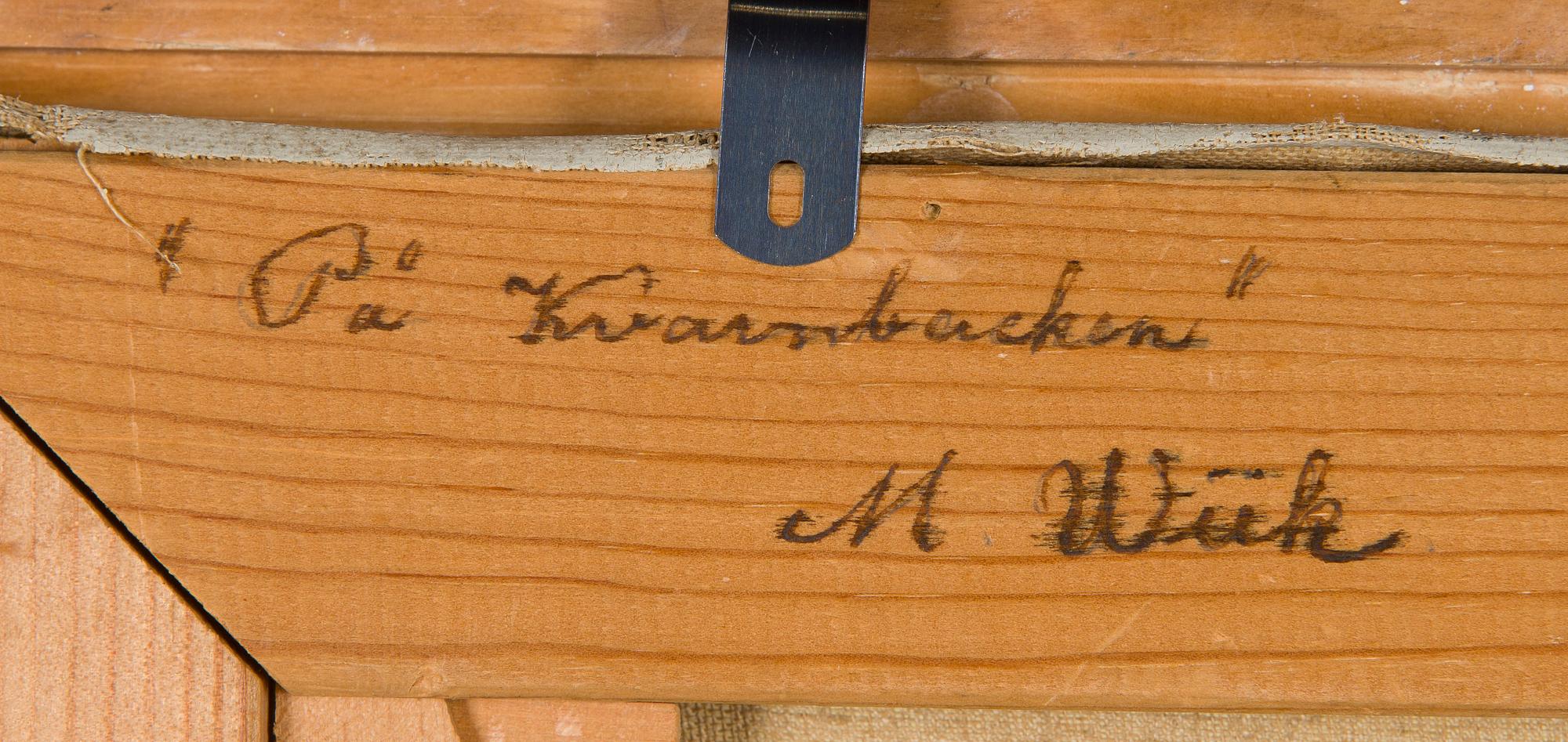 Maria Wiik, "Myllymäellä".