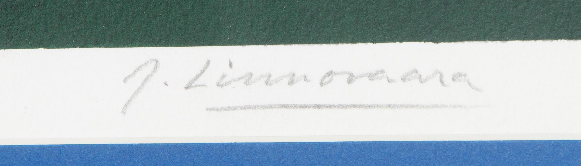 Juhani Linnovaara, "Nattkarneval".