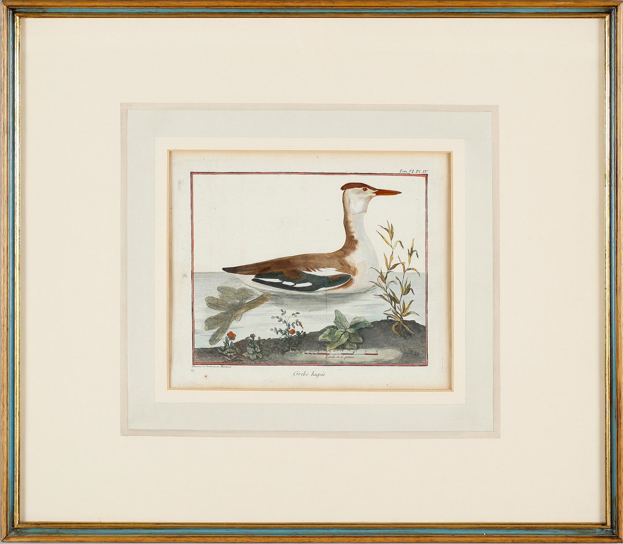 GRAVYRER, 2 st, efter Martinet, kolorerade, 1800-tal.
