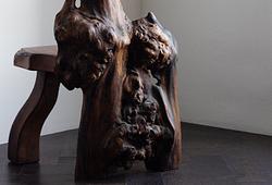 Organic Interior Design