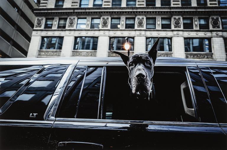 Mats Alfredsson, "Chicago", 2022.