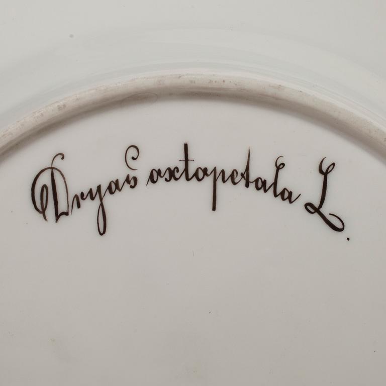 TALLRIKAR, 4 st, porslin, Flora Danica, Royal Copenhagen, 1960-tal.