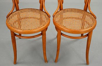 STOLAR, 2 st, Thonet, 1900-talets början.